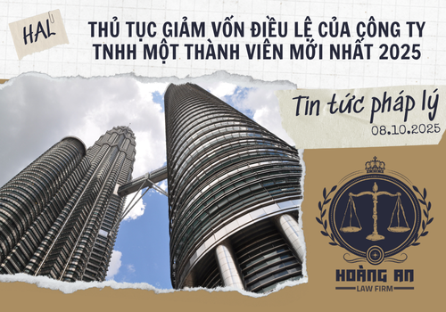 Thủ Tục Giảm Vốn Điều Lệ Của Công Ty Tnhh Một Thành Viên Mới Nhất 2025